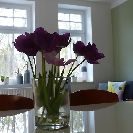 Appartamento Haus Bucheneck App 03 *