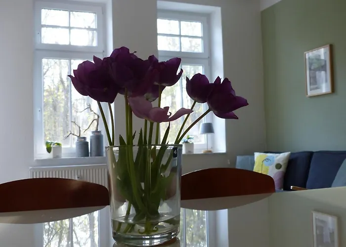 Apartman Haus Bucheneck App 03 *